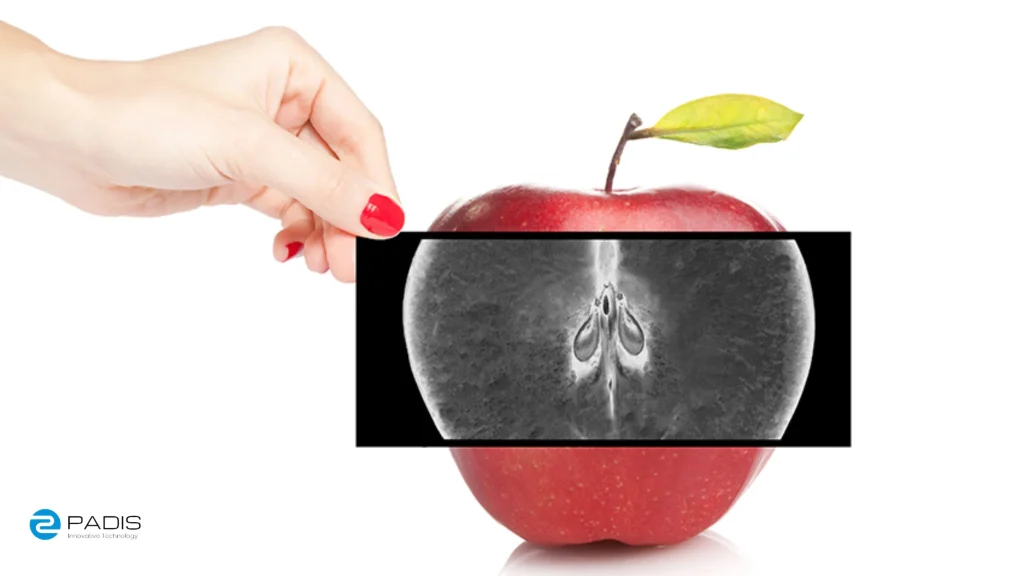 ایکس ری مواد غذایی